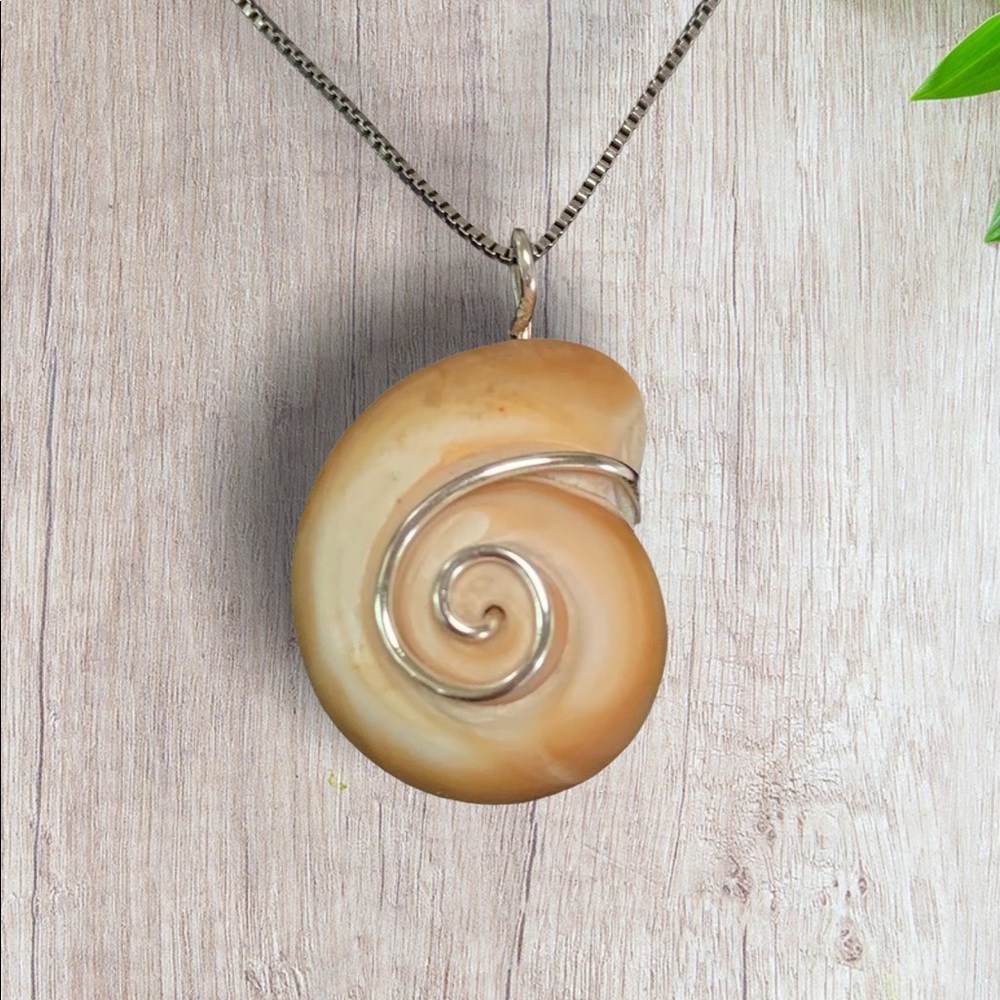 Dainty Wire Wrapped Shell Necklace